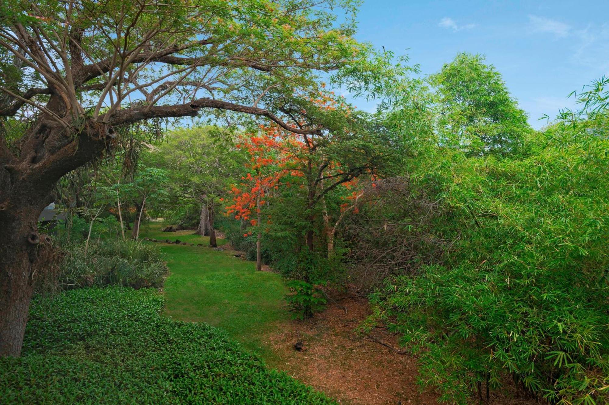 El Mangroove Papagayo, Autograph Collection Hotel Playa Hermosa  Bagian luar foto